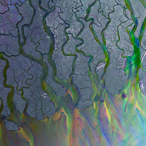 Looking Back At…An Awesome Wave by&nbsp;Alt-J